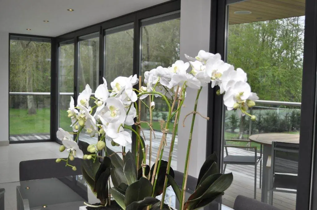 Internal Blinds for Double Glazing - Cristal Windows, Doors & Conservatories