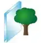 haze tint free windows
